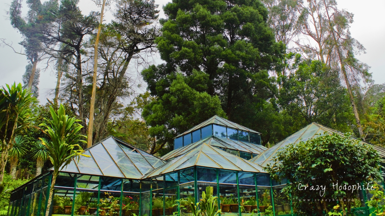 Glasshouse