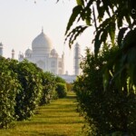 View from Mehtab Bagh Mehtab Bagh