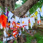 Wish Tree Wish Tree Outside Sanchi Stupa